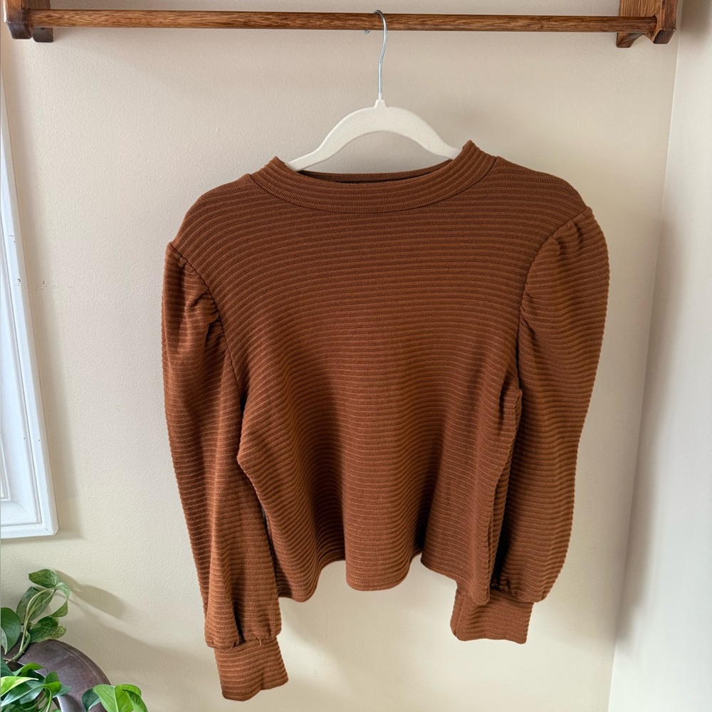 Brown Striped Long Sleeve Top